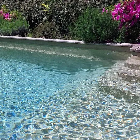 Clos Baroanni - Olea Terraube