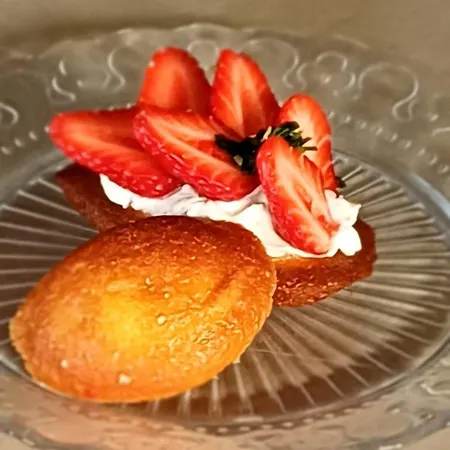 Clos Baroanni - Olea Konukevi 3*